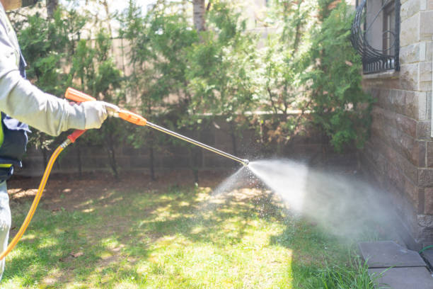 Best Fumigation Services  in Rockton, IL